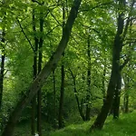 Lipnicki 2